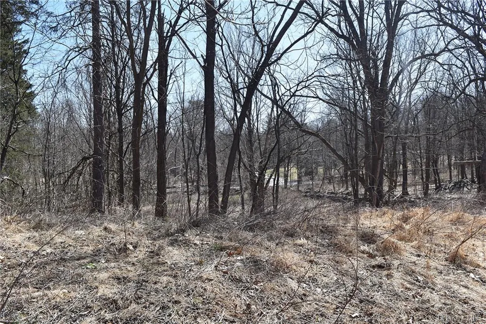 79-85 Miller Road Rhinebeck, NY 12572