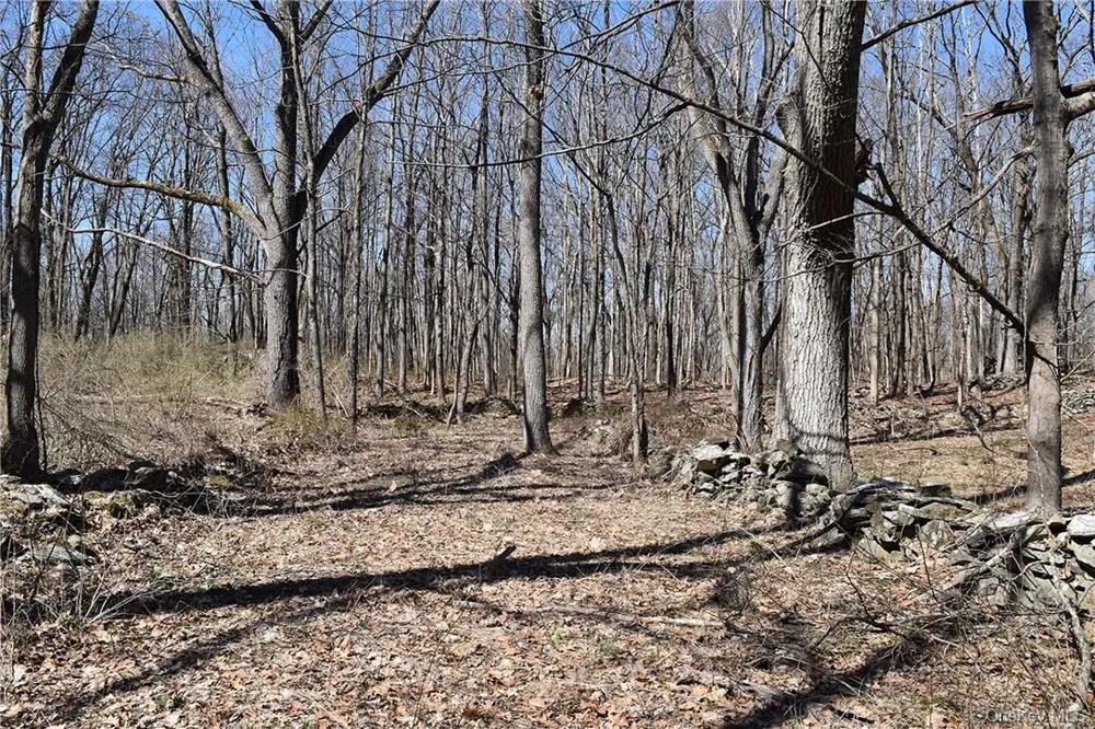 79-85 Miller Road Rhinebeck, NY 12572
