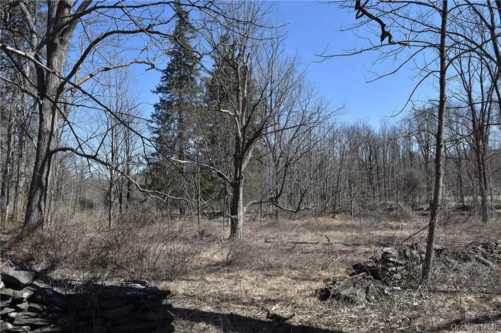 79-85 Miller Road Rhinebeck, NY 12572