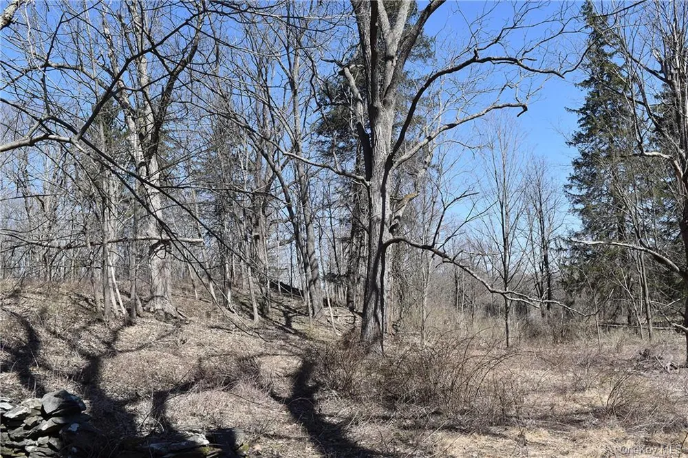 79-85 Miller Road Rhinebeck, NY 12572
