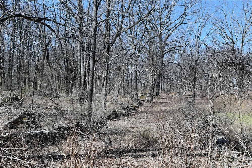 79-85 Miller Road Rhinebeck, NY 12572