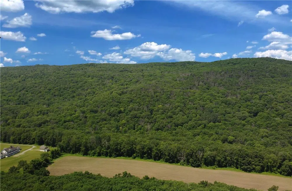 Cascade Mt / Perrys Corners Amenia, NY 12501