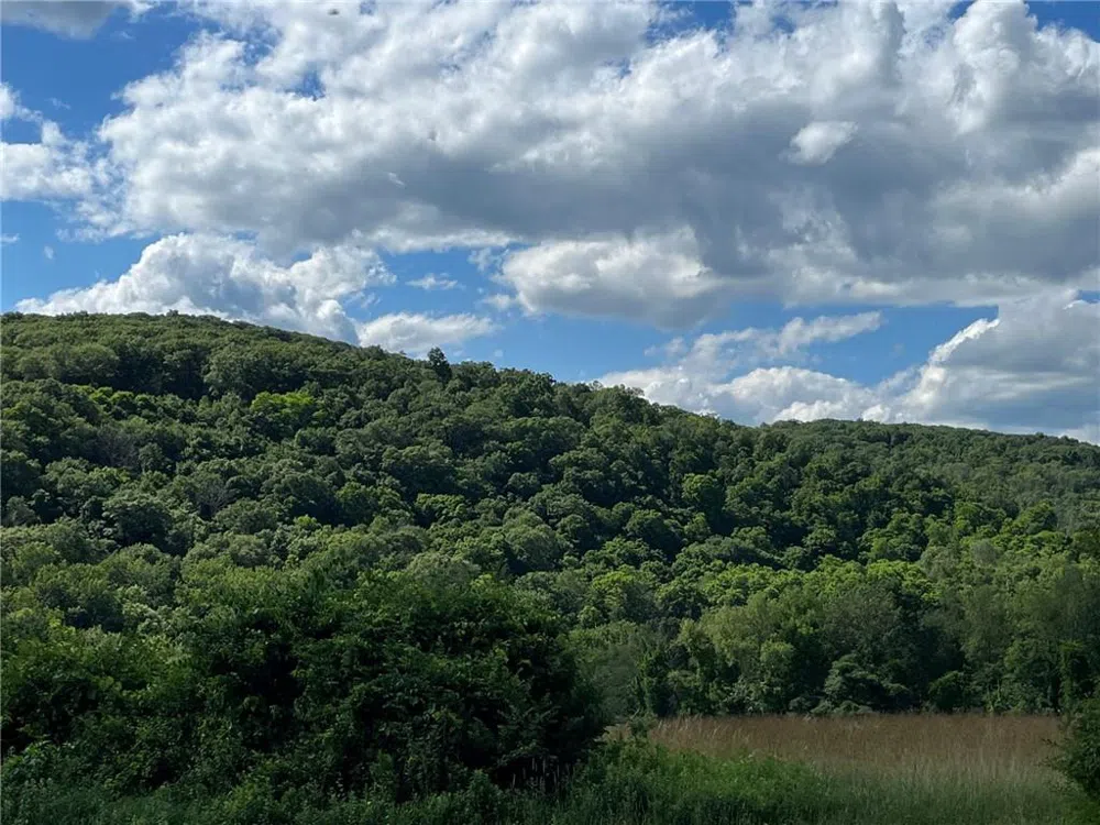 Cascade Mt / Perrys Corners Amenia, NY 12501
