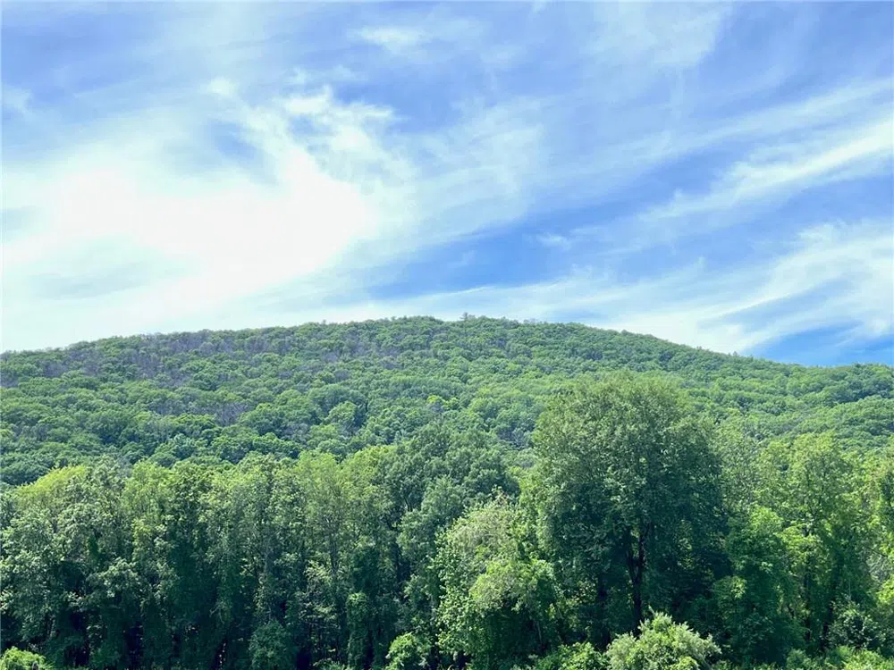 Cascade Mt / Perrys Corners Amenia, NY 12501