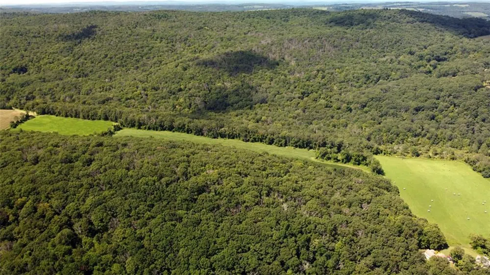 Cascade Mt / Perrys Corners Amenia, NY 12501