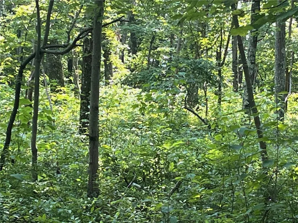 Cascade Mt / Perrys Corners Amenia, NY 12501