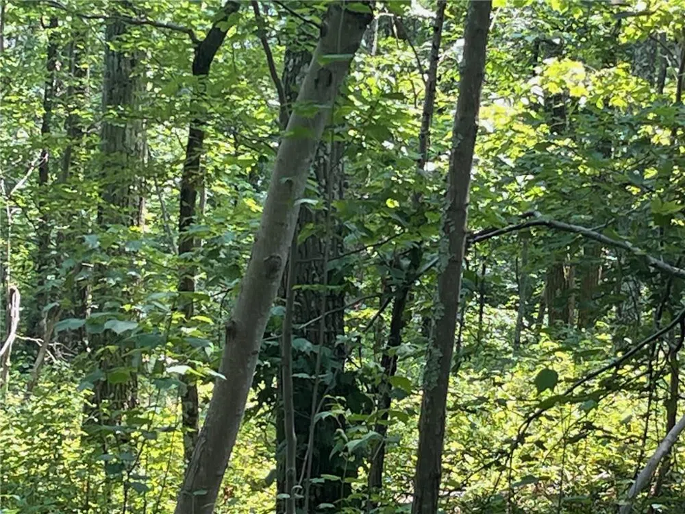 Cascade Mt / Perrys Corners Amenia, NY 12501