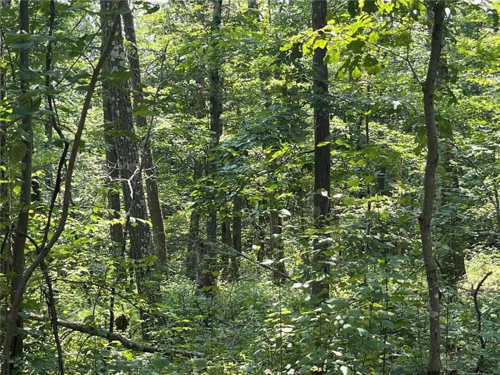 Cascade Mt / Perrys Corners Amenia, NY 12501
