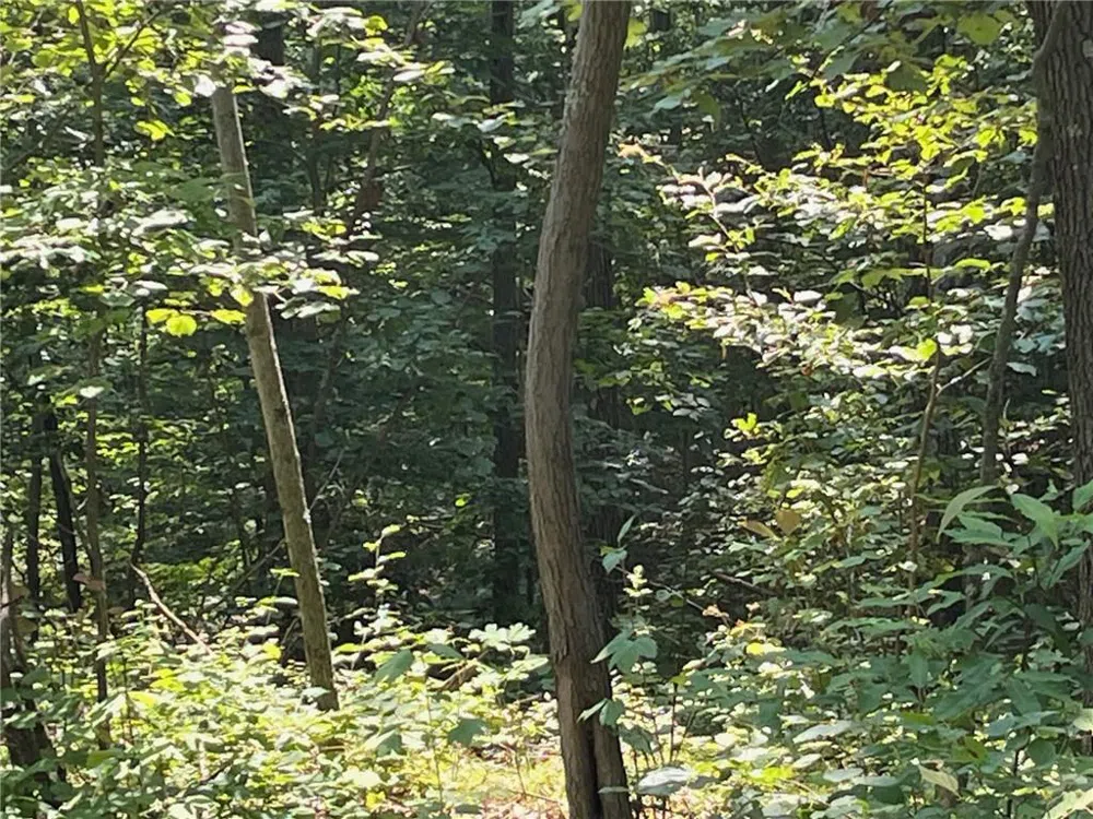 Cascade Mt / Perrys Corners Amenia, NY 12501