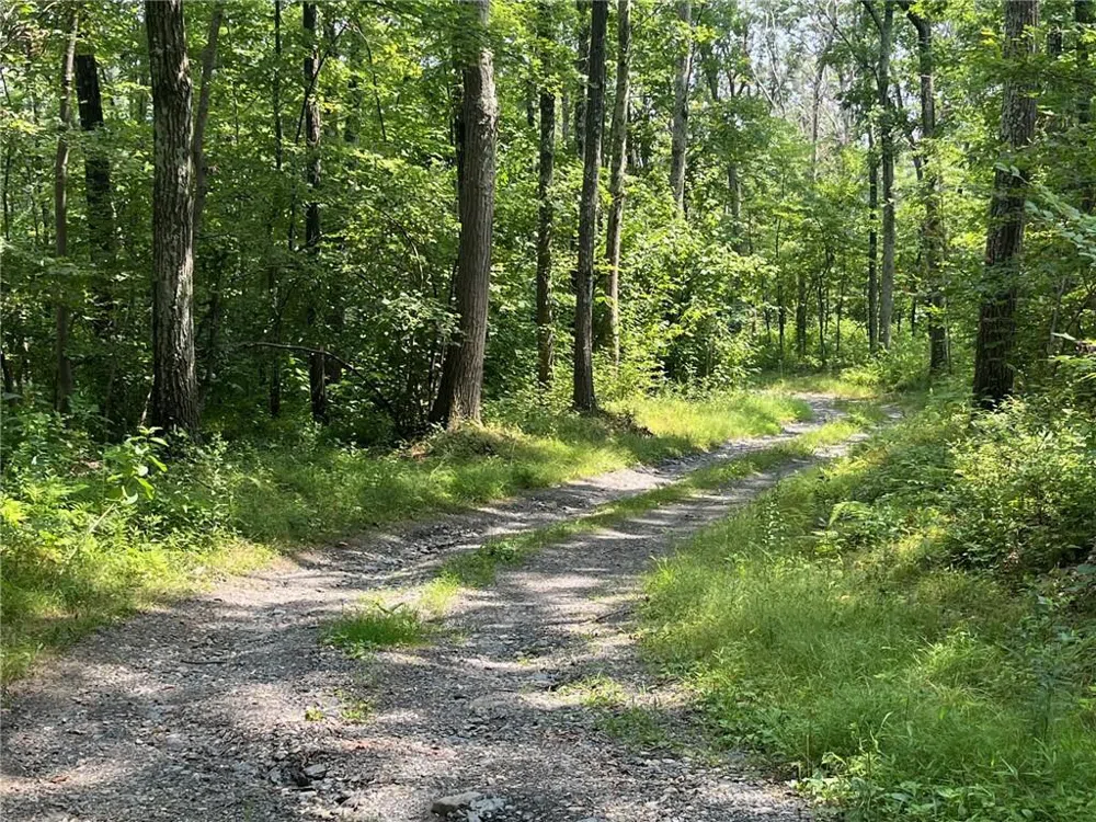 Cascade Mt / Perrys Corners Amenia, NY 12501