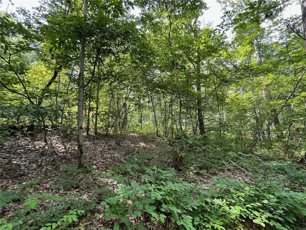 Cascade Mt / Perrys Corners Amenia, NY 12501