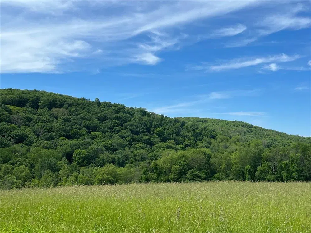 Cascade Mt / Perrys Corners Amenia, NY 12501