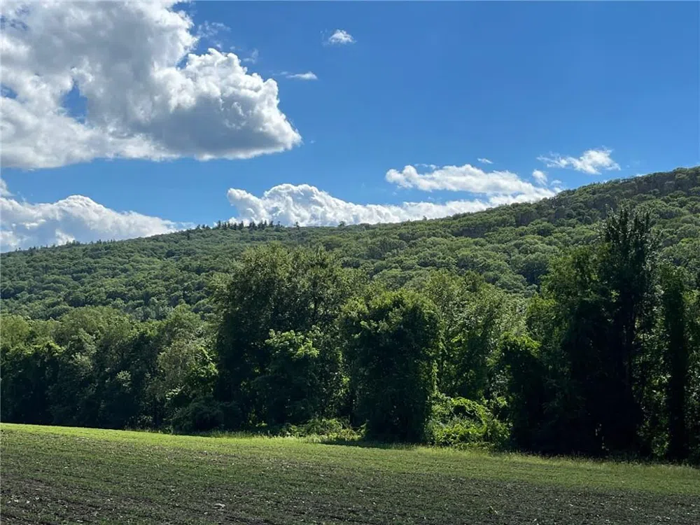 Cascade Mt / Perrys Corners Amenia, NY 12501