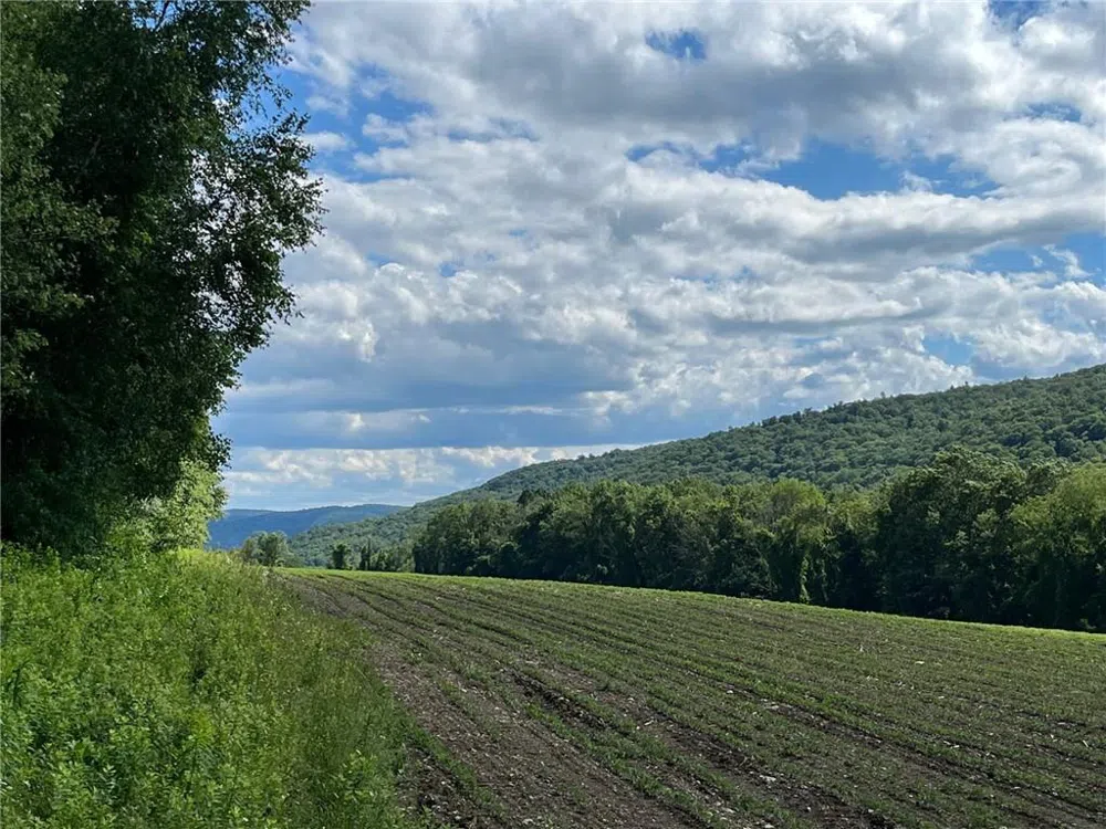 Cascade Mt / Perrys Corners Amenia, NY 12501