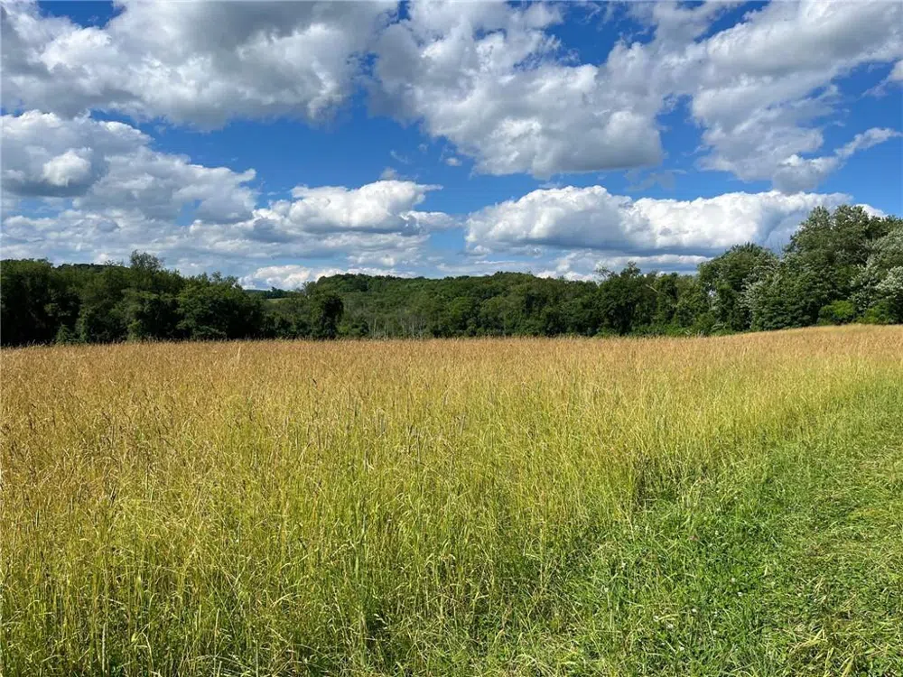 Cascade Mt / Perrys Corners Amenia, NY 12501