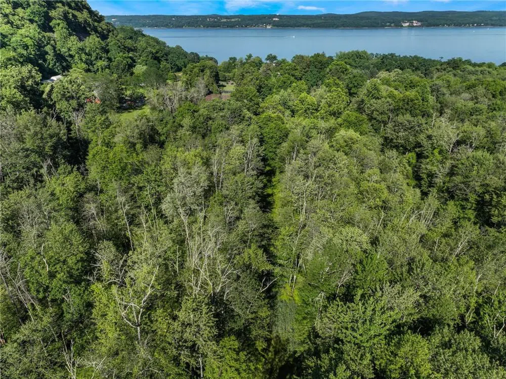 1 Badi Drive Nyack, NY 10960
