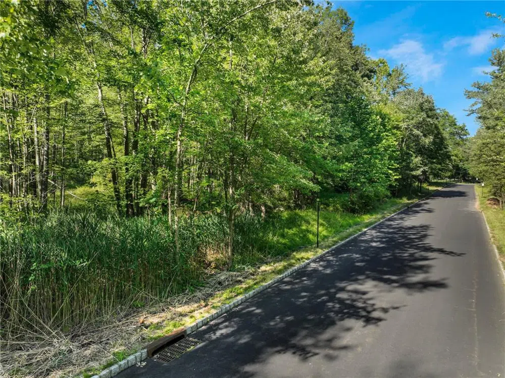 1 Badi Drive Nyack, NY 10960