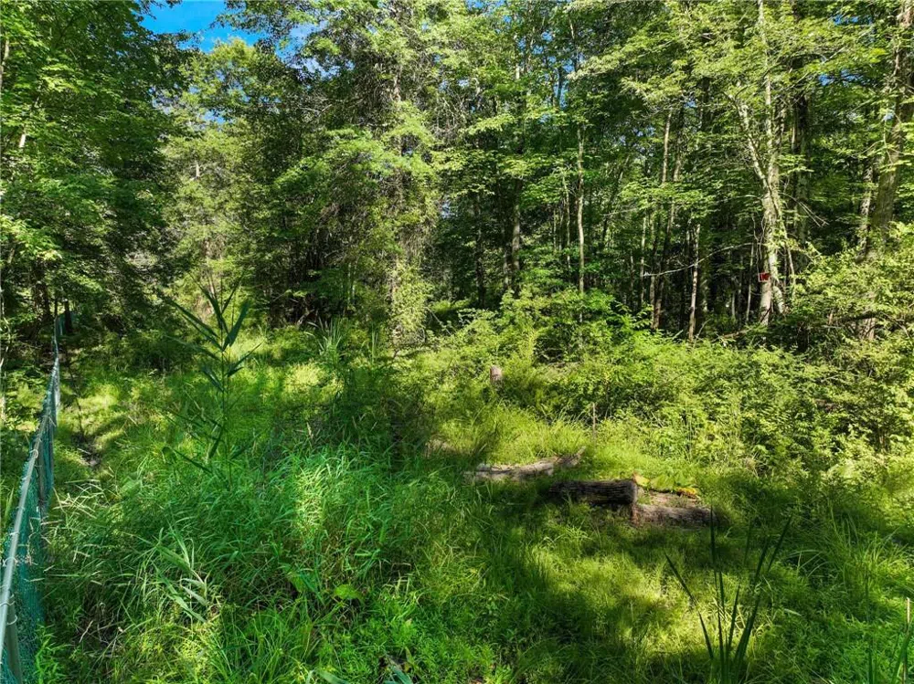 1 Badi Drive Nyack, NY 10960