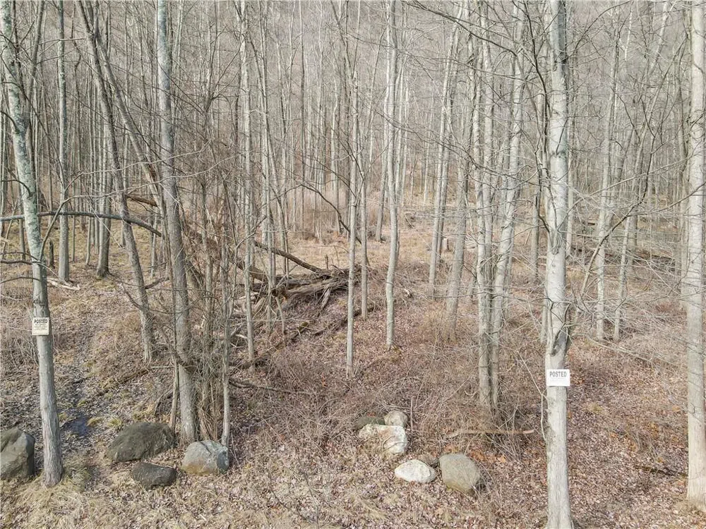 1 Badi Drive Nyack, NY 10960