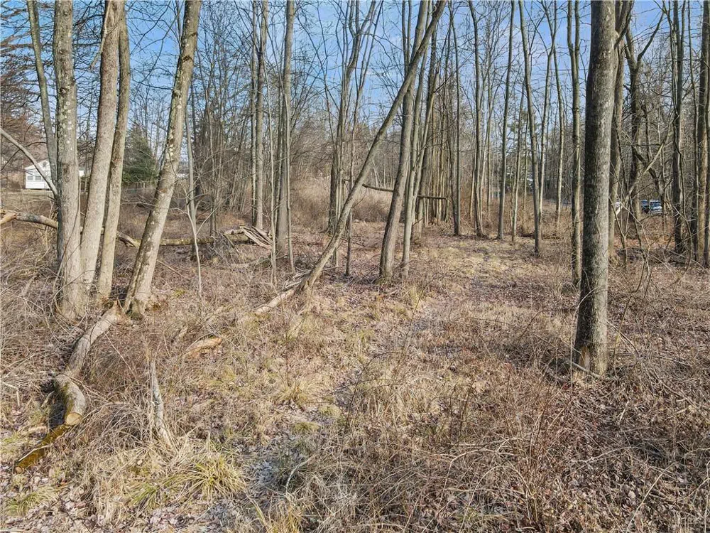 1 Badi Drive Nyack, NY 10960