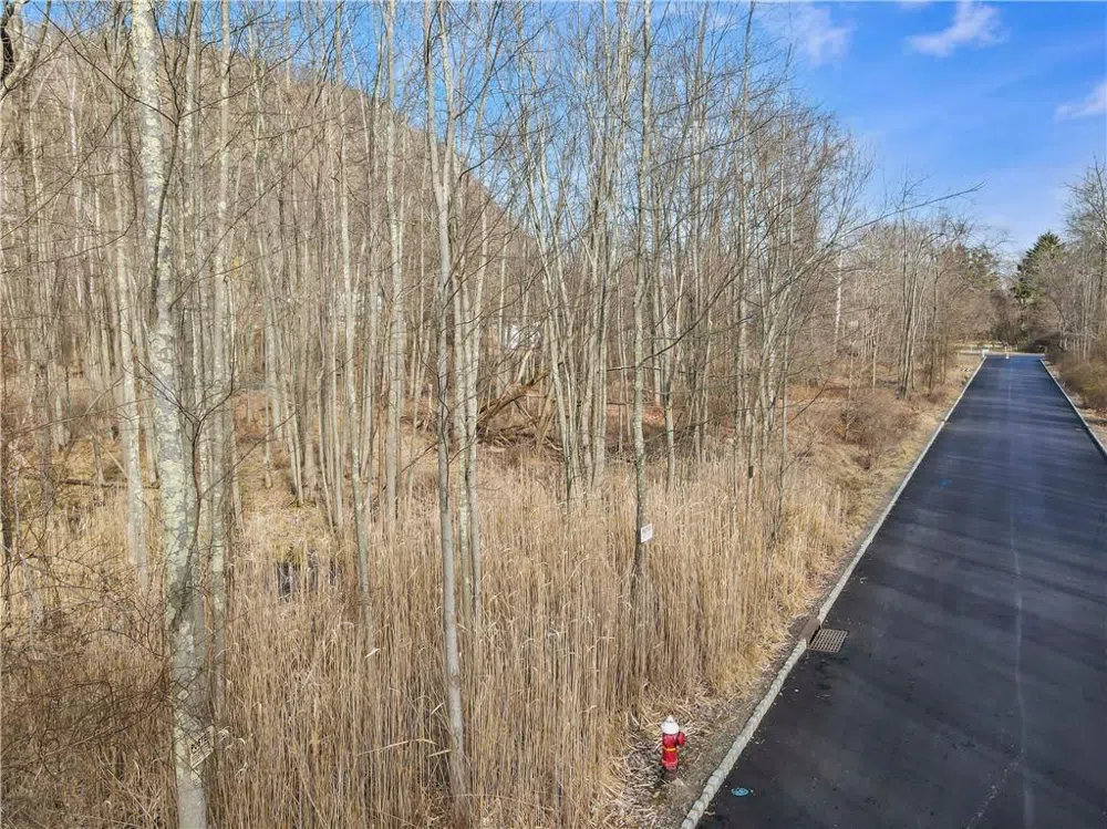 1 Badi Drive Nyack, NY 10960