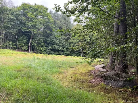 34 Black Bear Crossing
