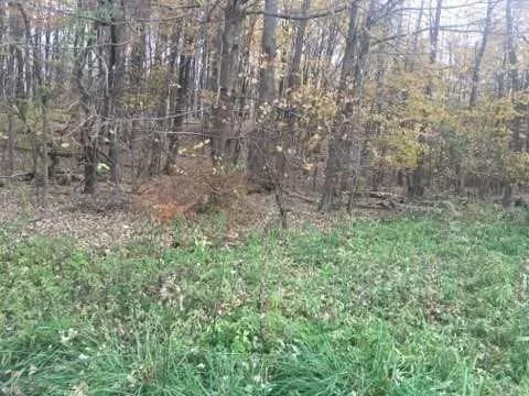 2452 Route 52 Hopewell Junction, NY 12533