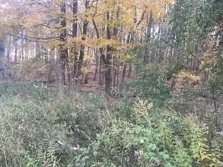2452 Route 52 Hopewell Junction, NY 12533