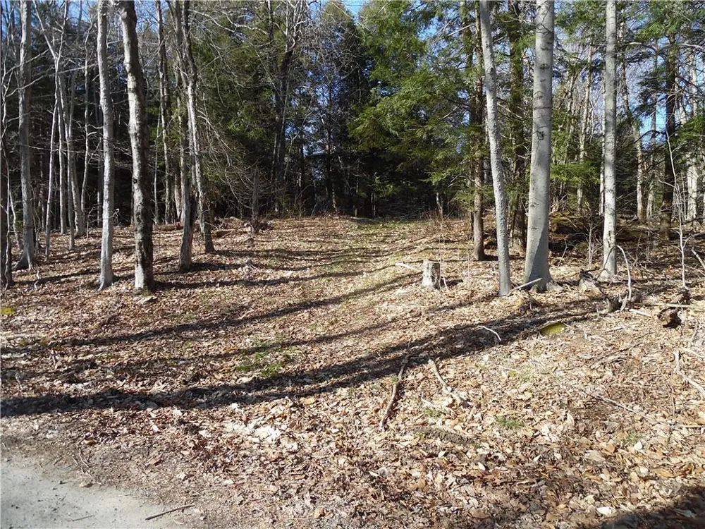 183 Revonah Hill Road Liberty, NY 12754