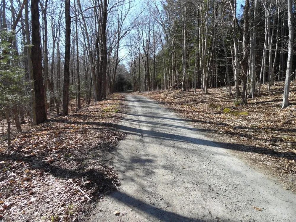 183 Revonah Hill Road Liberty, NY 12754