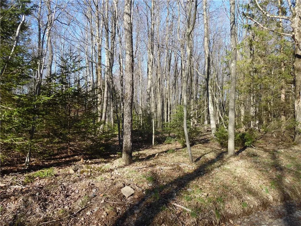 183 Revonah Hill Road Liberty, NY 12754