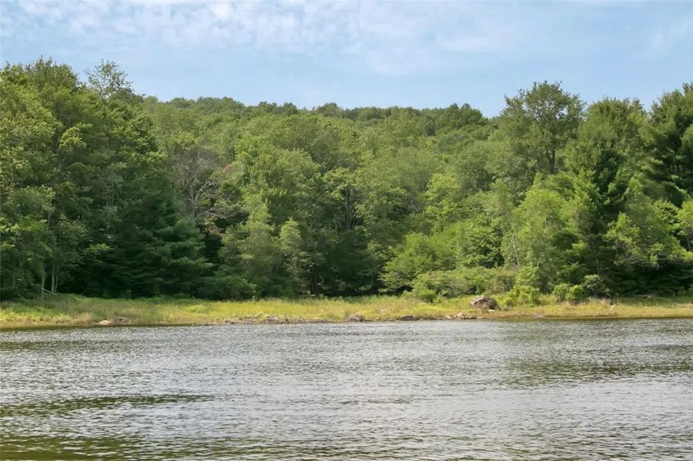 Whispering Woods Drive Mongaup Valley, NY 12762