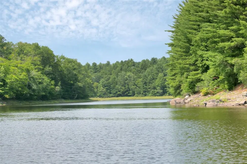 Whispering Woods Drive Mongaup Valley, NY 12762