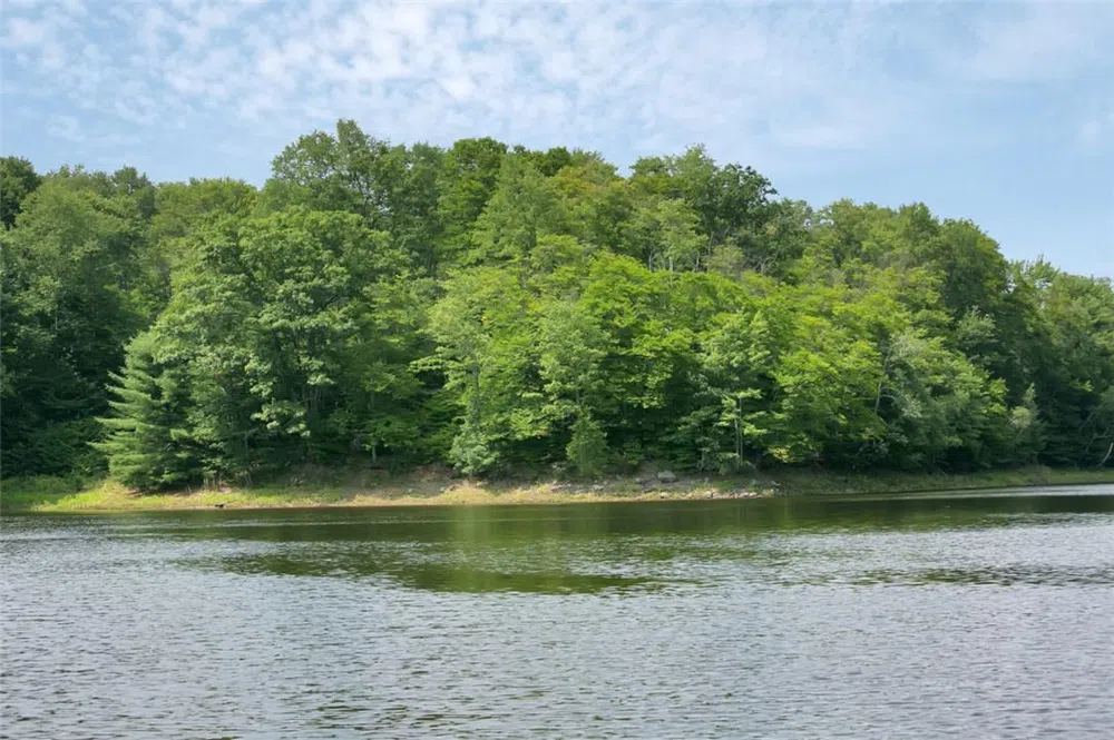 Whispering Woods Drive Mongaup Valley, NY 12762