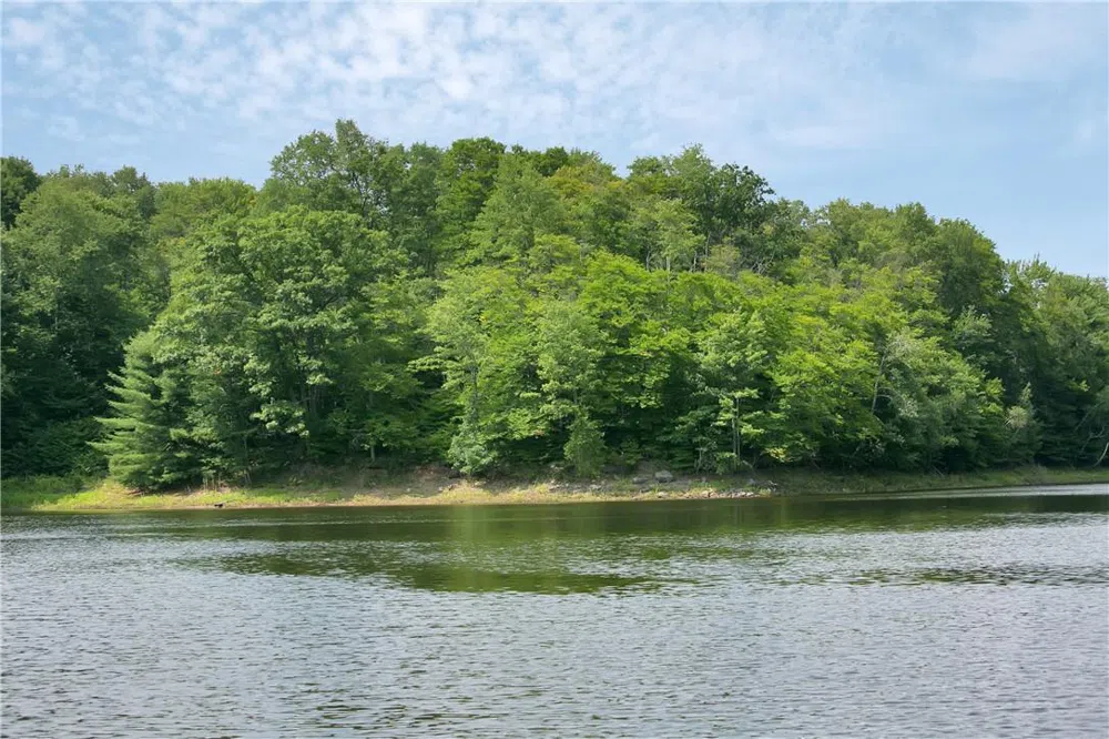 Whispering Woods Drive Mongaup Valley, NY 12762