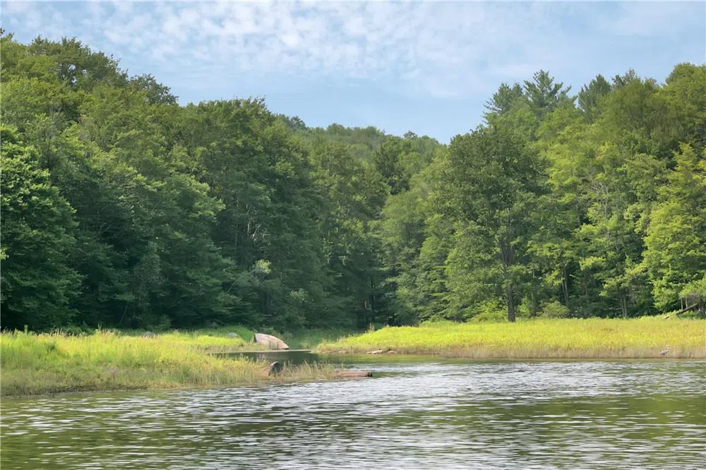 Whispering Woods Drive Mongaup Valley, NY 12762
