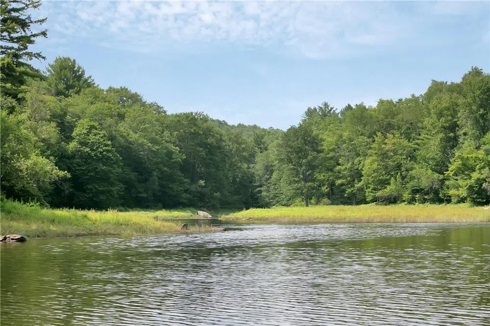Whispering Woods Drive Mongaup Valley, NY 12762
