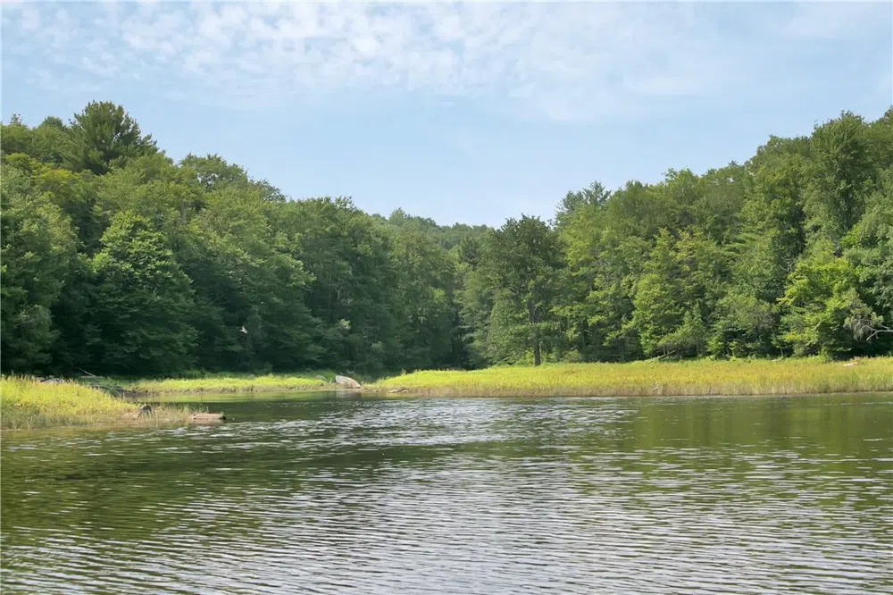 Whispering Woods Drive Mongaup Valley, NY 12762