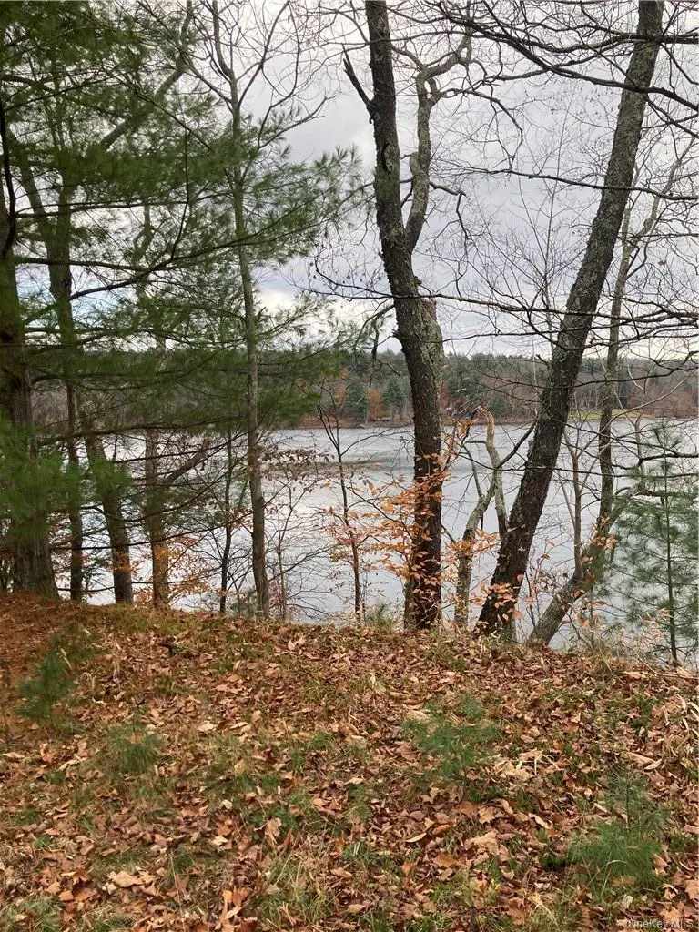 140 Plank Road Mongaup Valley, NY 12762