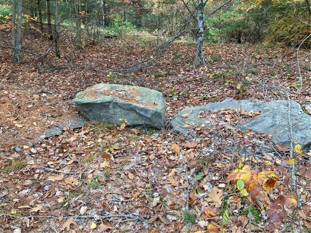 140 Plank Road Mongaup Valley, NY 12762