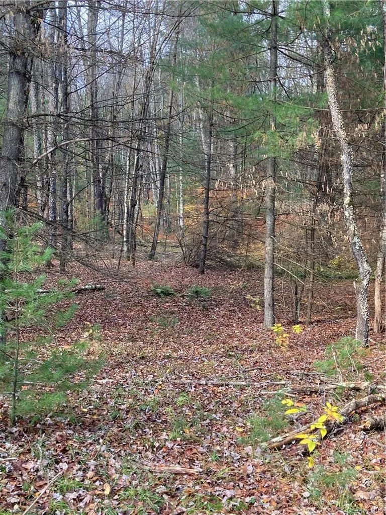 140 Plank Road Mongaup Valley, NY 12762