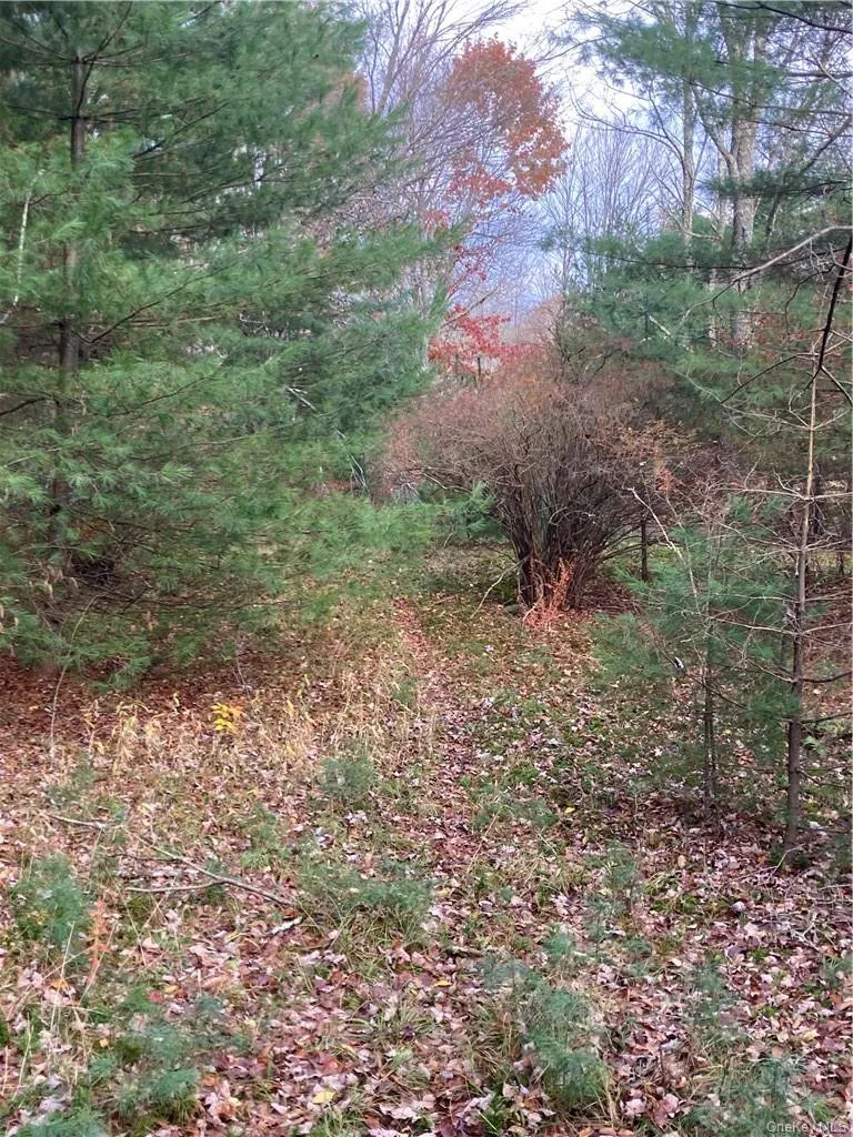 140 Plank Road Mongaup Valley, NY 12762