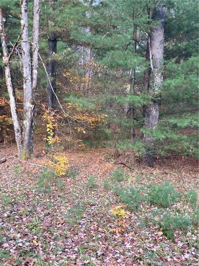 140 Plank Road Mongaup Valley, NY 12762