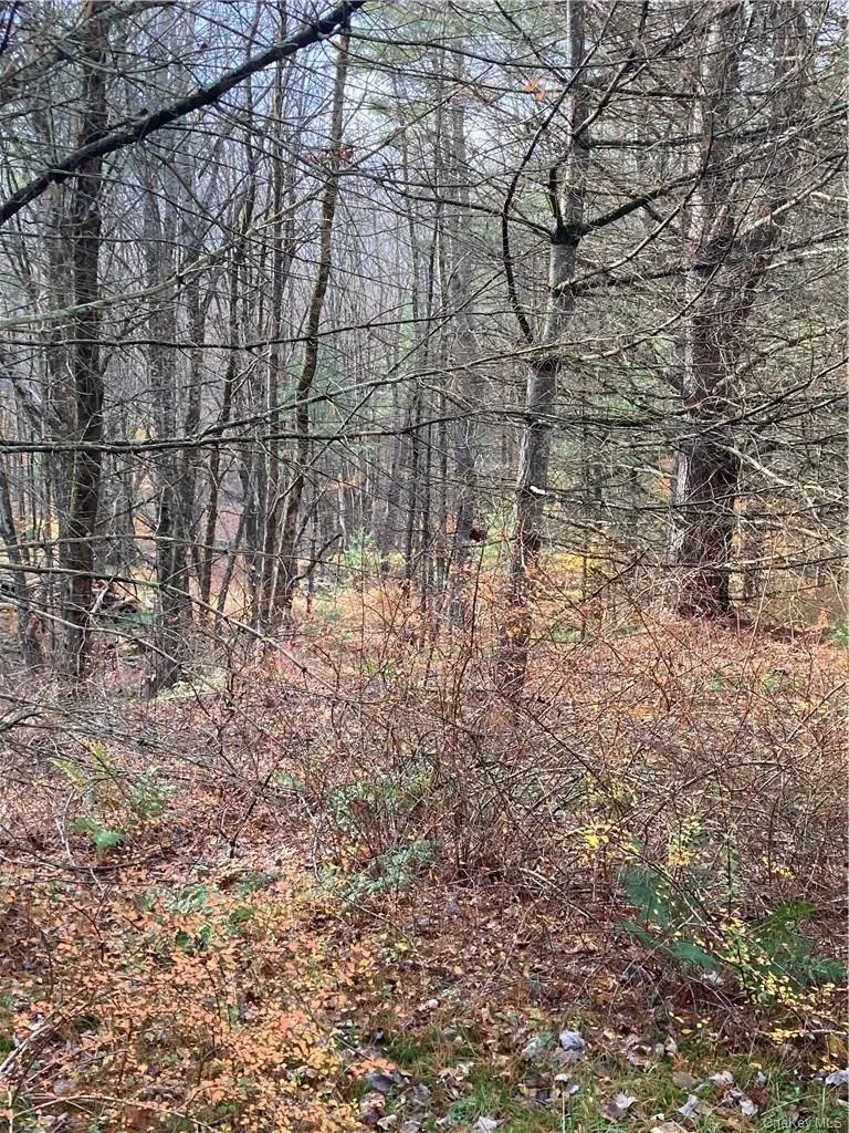 140 Plank Road Mongaup Valley, NY 12762