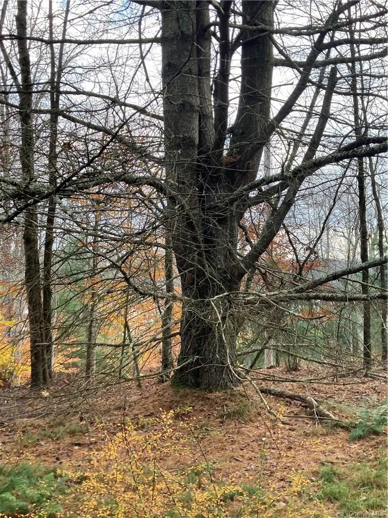 140 Plank Road Mongaup Valley, NY 12762