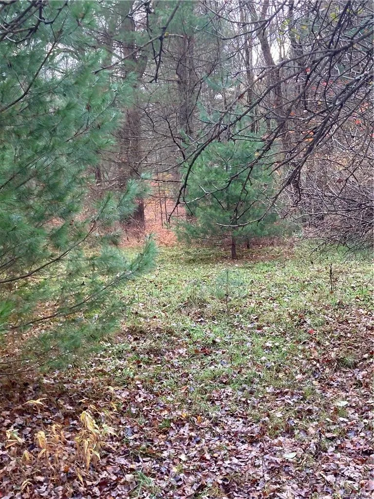 140 Plank Road Mongaup Valley, NY 12762