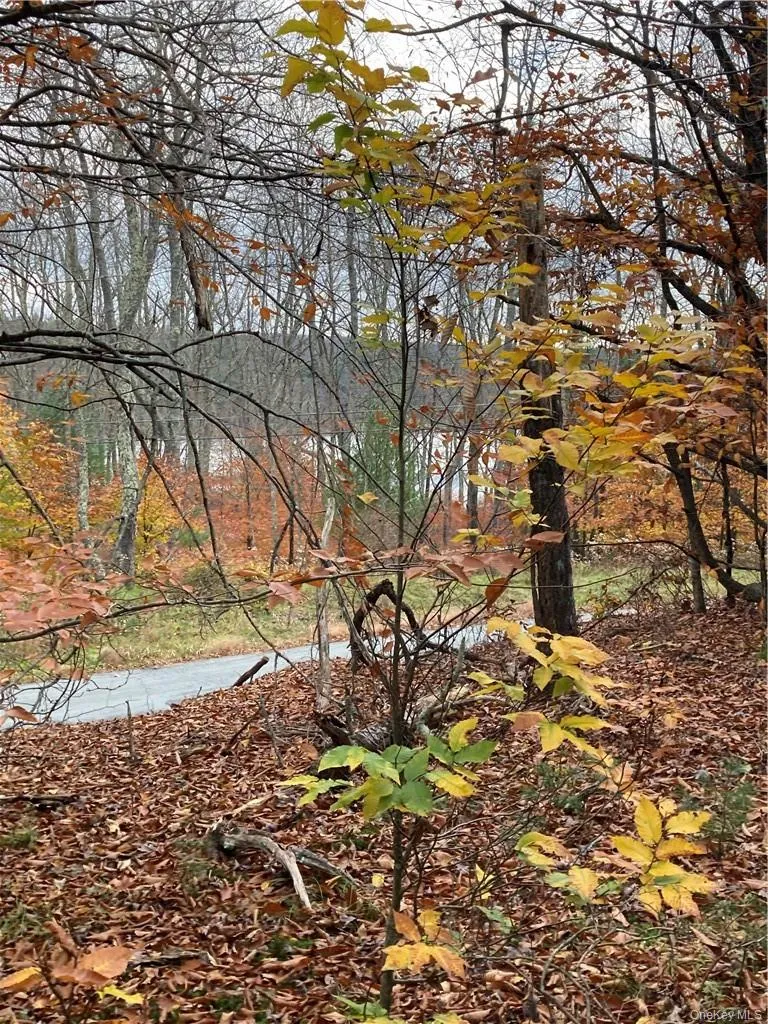 140 Plank Road Mongaup Valley, NY 12762