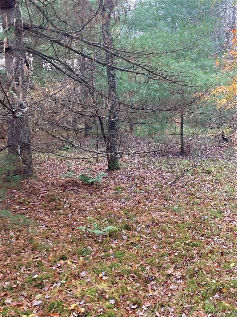 140 Plank Road Mongaup Valley, NY 12762