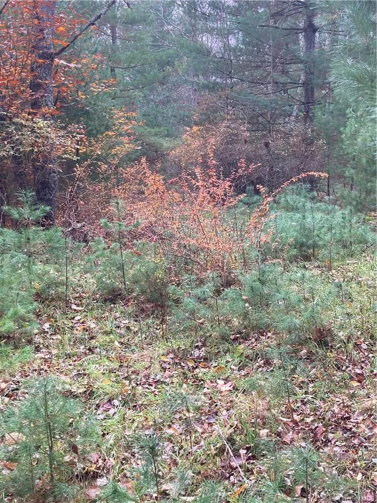 140 Plank Road Mongaup Valley, NY 12762
