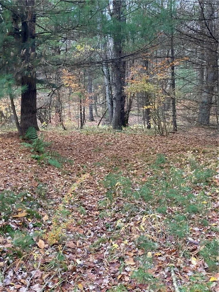 140 Plank Road Mongaup Valley, NY 12762